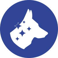 Blue FC